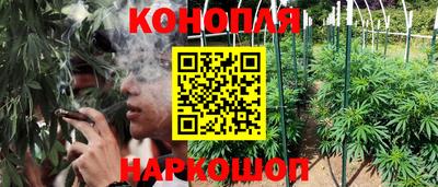 круглые Бердск