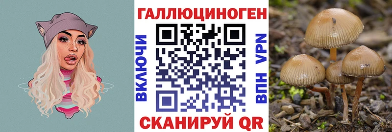 Галлюциногенные грибы мухоморы  Вольск 