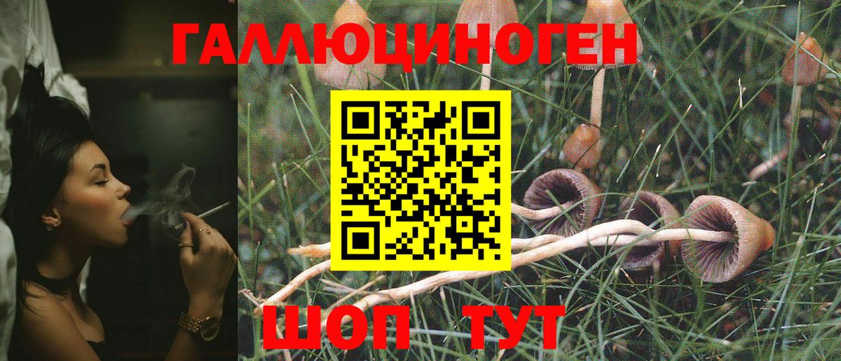 Галлюциногенные грибы Cubensis  Вход с VPN  Галлюциногенные грибы мухоморы  Вольск 
