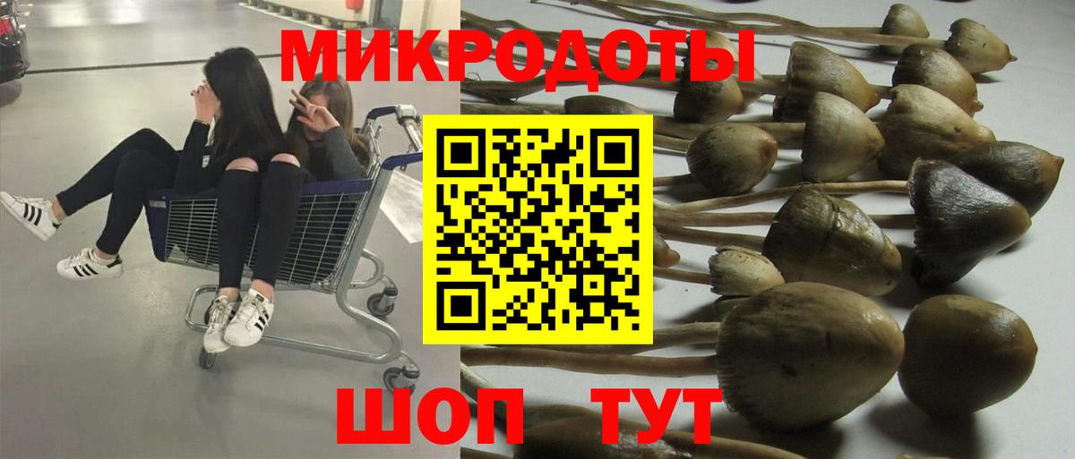 Псилоцибиновые грибы мухоморы Вольск