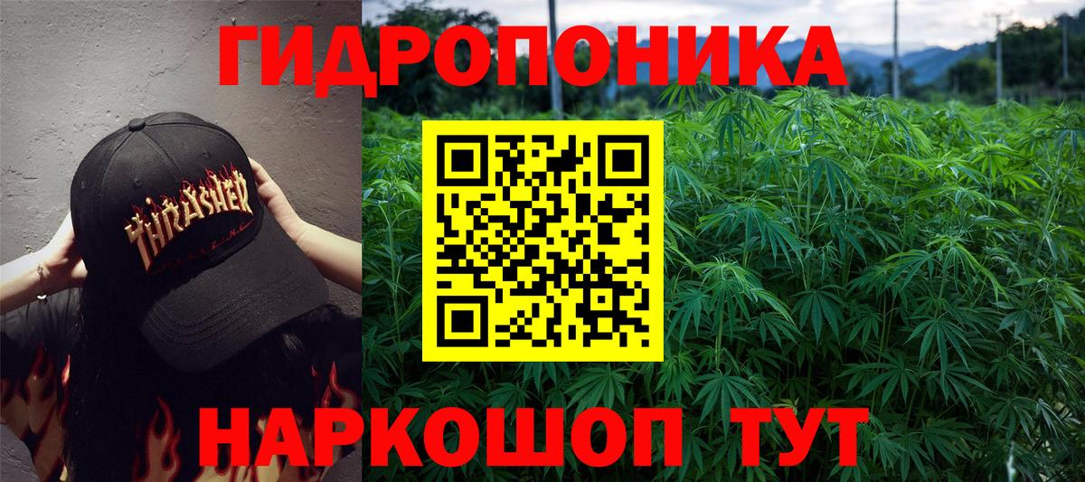 Канабис сатива  Бошки Шишки LSD WEED  Вольск  Конопля план  Вход с VPN 
